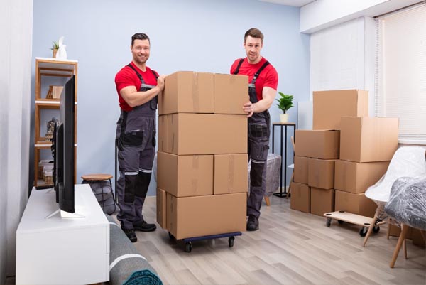 Dwell Professional Movers and Packers